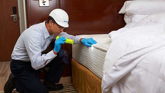 Service Specialist inspecting for bed bugs.