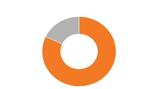 Donut Chart